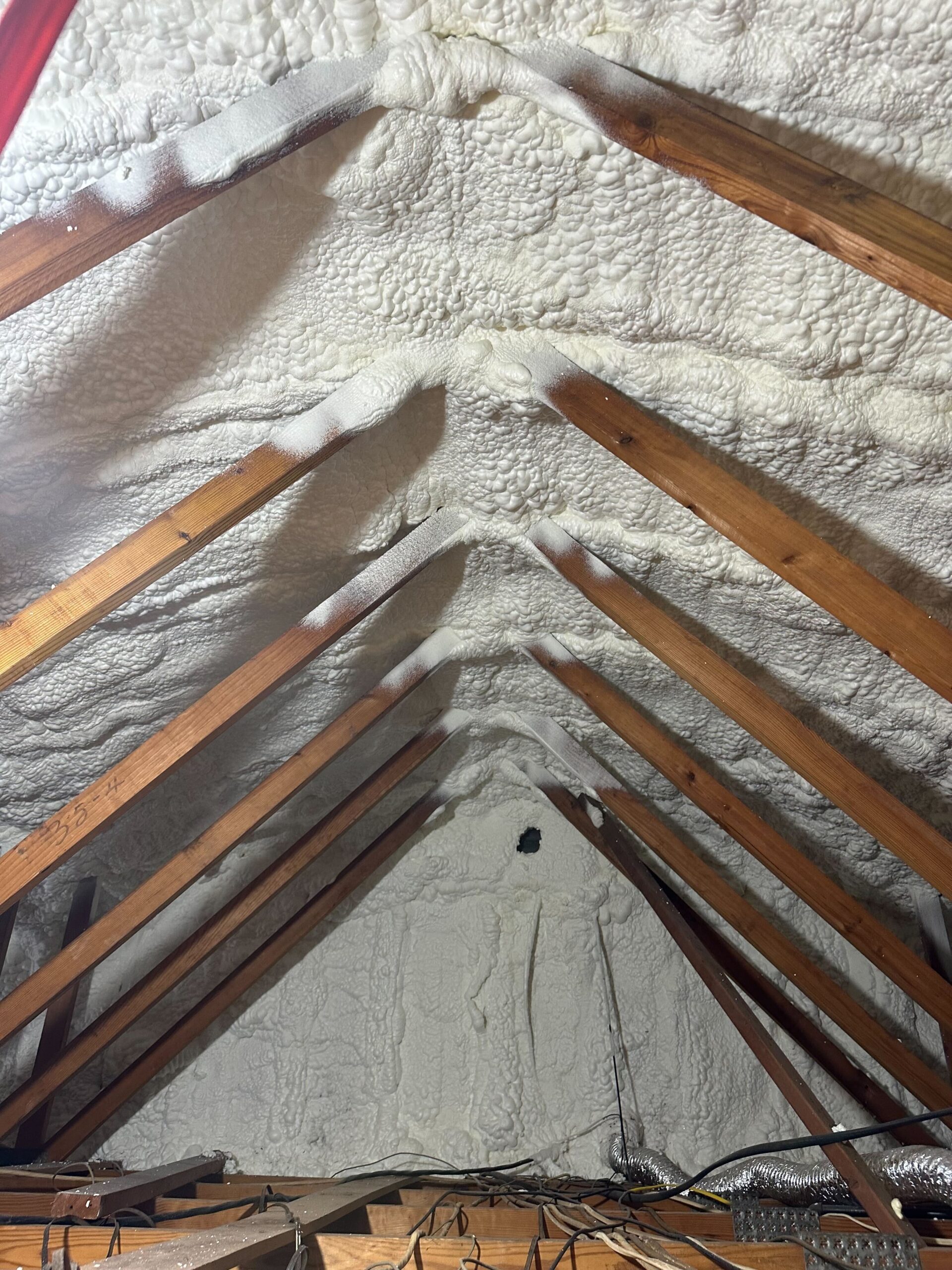 Critter Stop Spray Foam Insulation